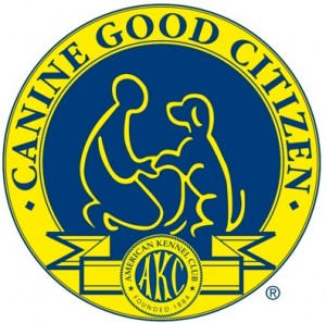 AKC- Canine Good Citizen Testing Only