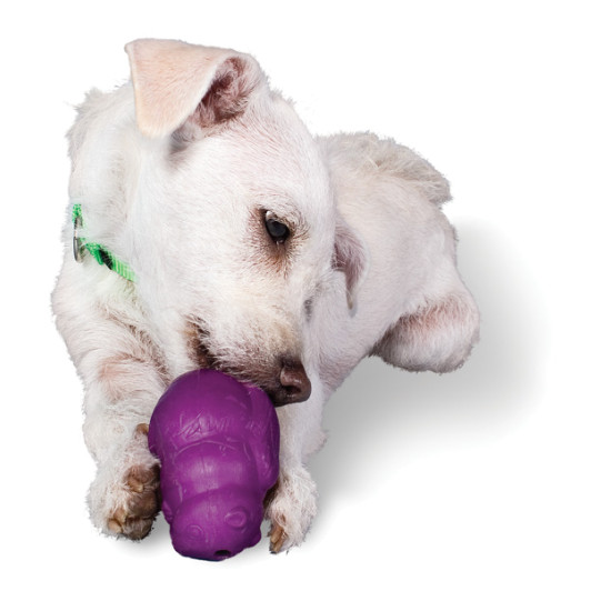 PetSafe Busy Buddy Waggle Dog Toy, Treat Dispensing Dog, Medium