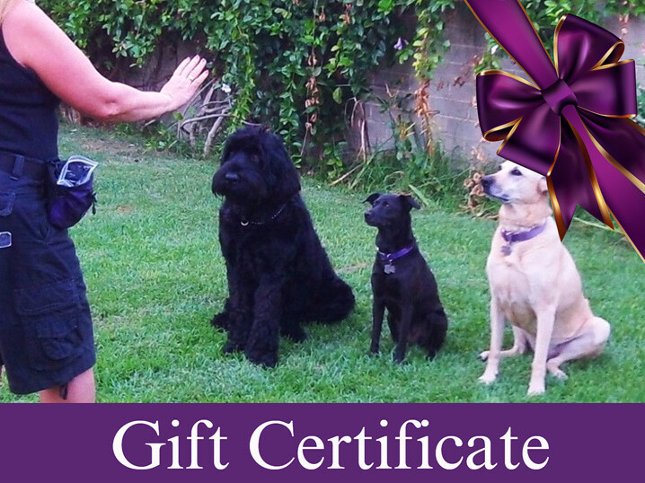 GIFT CERTIFICATE: PRIVATE SESSIONS / BEHAVIOR MODIFICATION At Your Residence or Our Studio