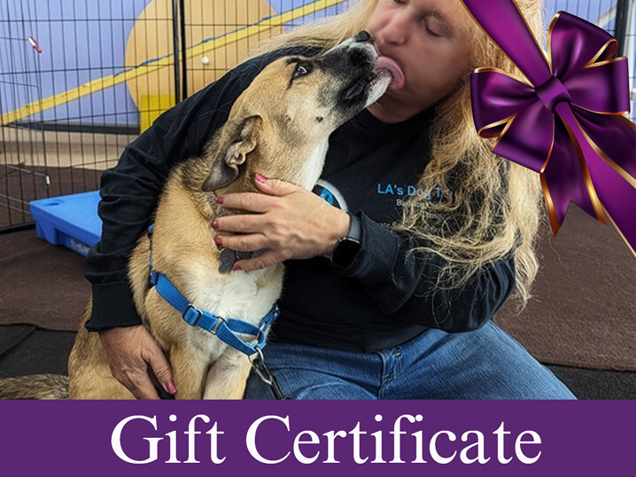 GIFT CERTIFICATE: GROUP TRAINING CLASSES