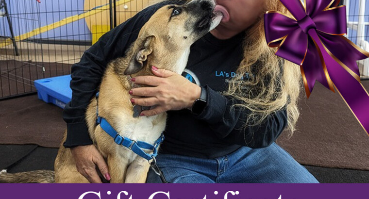 GIFT CERTIFICATE: GROUP TRAINING CLASSES